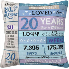 20th Birthday Decorations for Women 20th Birthday Gifts for Women and Girls Gift for 20 Year Old Female Gifts for Her Daughter Throw Pillow Covers 18x