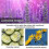 1Pc Lavender Scars Repair Cream Effective Acnes Scars Removal Gel 5