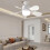 (1pcs) Small Ceiling Fans with Lights Dimmable LED Ceiling Fan with Remote for Family 4