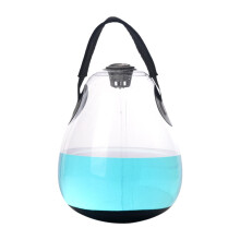 Water Filled Kettlebell, Travel Kettlebell, Multipurpose Weight Training, Fitness Equipment for Weight Lifting Clear 10 kg