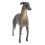 2pcs Simulation Wild Animal Model Figure Toys Figurine Home Decor Greyhound 4