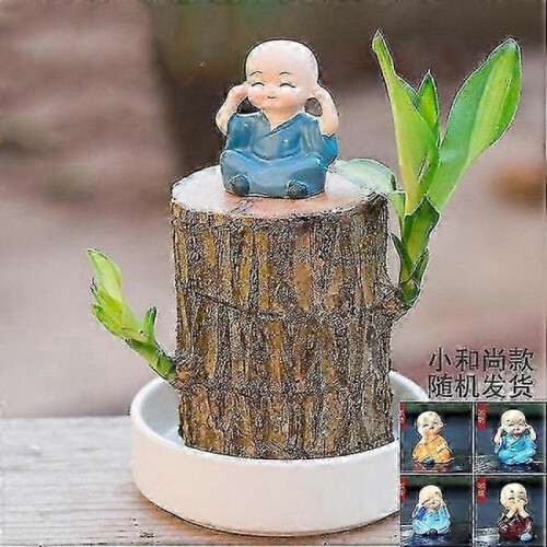 (A,10cm)Hydroponic lucky wood for office - Mini Brazil bamboo stump