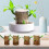 (B,10CM)Hydroponic lucky wood for office - Mini Brazil bamboo stump 4