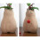 Handmade Solid Wood Cat Vase - Unique Cat Statue Planter Gift for Cat Lovers - Available in Australia 2