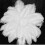 (10pcs,White)1~50pack 30-35cm Large Ostrich Feathers Plume Craft Wedding Party Decorations 2