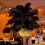 (30pcs,Black)1~50pack 30-35cm Large Ostrich Feathers Plume Craft Wedding Party Decorations 2