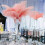 (20pcs,Pink)1~50pack 30-35cm Large Ostrich Feathers Plume Craft Wedding Party Decorations 2