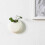 Set Of 2 Mini Wall-Mounted Ceramic Flower Pots White / Black 5