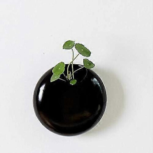 Set Of 2 Mini Wall-Mounted Ceramic Flower Pots White / Black 2
