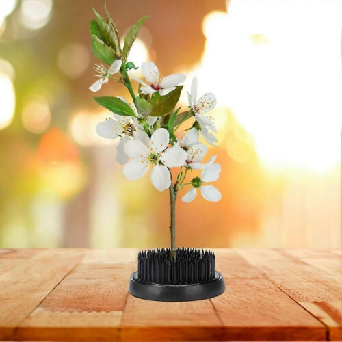 Black Round Ikebana Kenzan Needle Flower Pin Flower Decoration Fixed Arranging Tool (70mm) 2