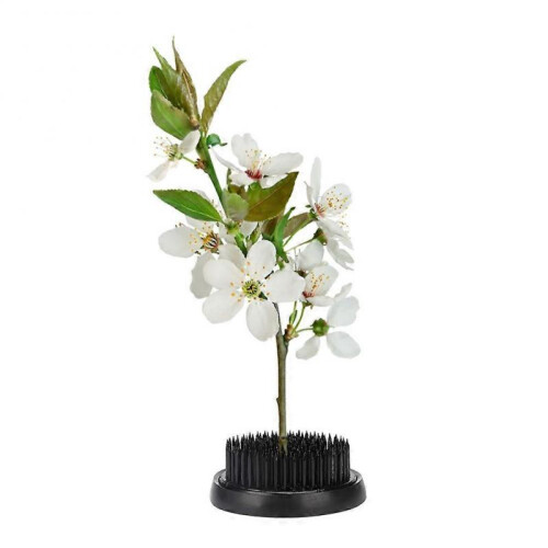 Black Round Ikebana Kenzan Needle Flower Pin Flower Decoration Fixed Arranging Tool (70mm) 1