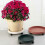 Green Round Tray Plant Stand 35cm with Wheels - Red 33cm 4