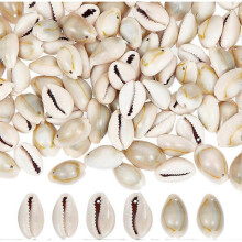 300 Pcs Natural Cowrie Shell Beads Cowrie Spiral Shell Beads Hole 2mm Conch Trinket Fish Tank Aquarium Ornaments Summer Beach Small Seashells for Jewe