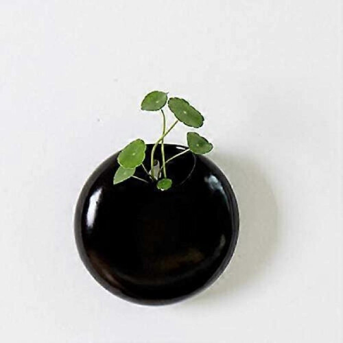 Set of 2 mini wall-mounted ceramic flower pots White / black 2
