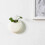 Set of 2 mini wall-mounted ceramic flower pots White / black 5