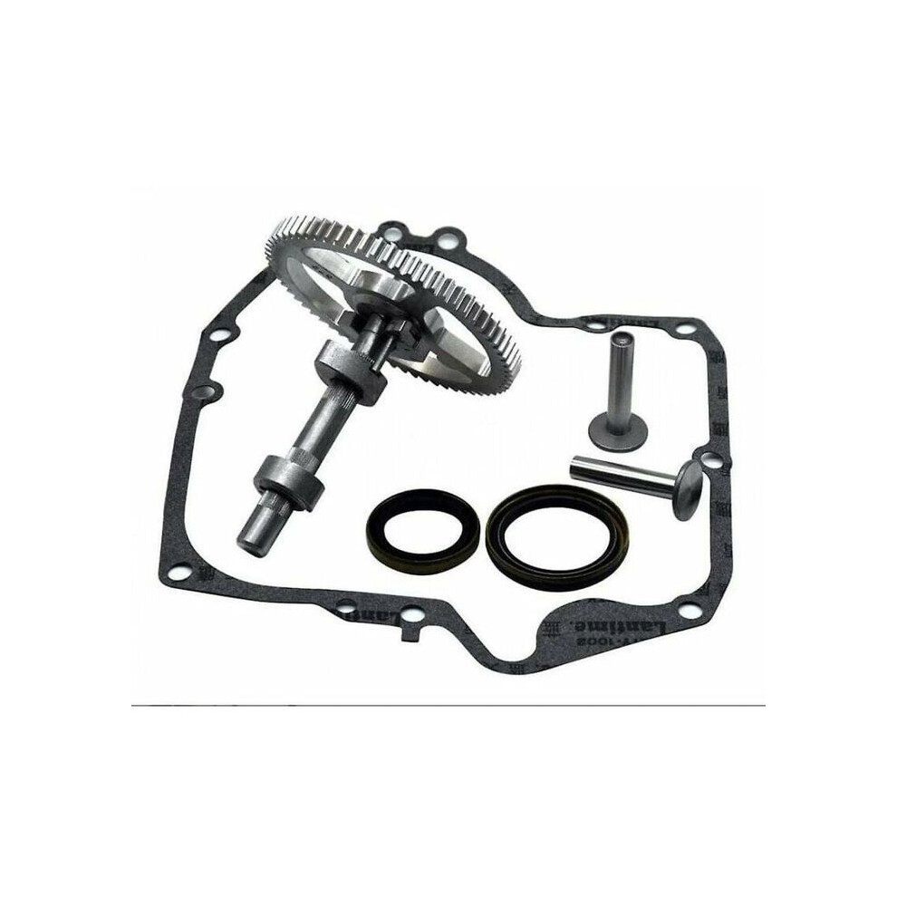 Fits Briggs & Stratton 793880 793583 792681 791942 795102 Camshaft Replacement Kit With 795387 Oil Seal And Gasket 9400448093656