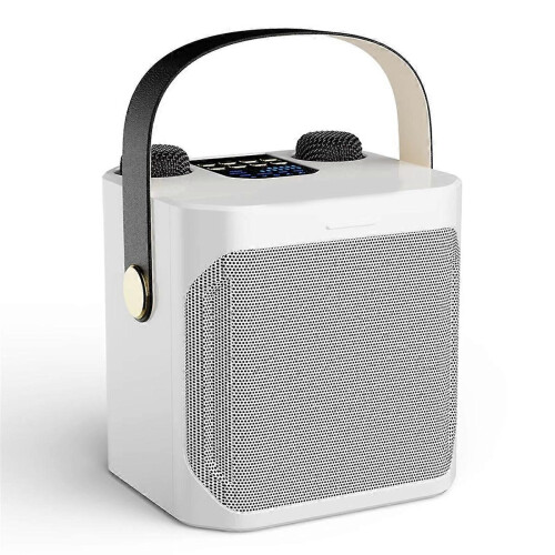 High Power Karaoke Bluetooth Speaker with Dual Microphone White 2