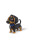 3D Dog Building Block Model, Compatible with LEGO Bricks, Suitable for Educational and Puzzle Building 2