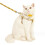 Pet Harness - Unspecified - M - Yellow - Comfortable and Adjustable - For Cats 4