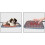 Winter Electric Pet Heating Pad with Adjustable Temperature Cat Cushion 2