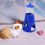 Pet Drinking Waterer 2-in-1 Water Bottle with Base Hut,80ml 3