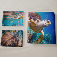 Sea Turtle Bedding Set,Sea Turtle Duvet Cover Set King Size,Ocean Turtle Themed Comforter Cover for Teens Boys and Girls(1 Quilt Cover 2 Pillowcases 3
