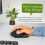 Wireless Trackball Mouse 4800DPI with Lighting Recharge Thumb Control Tracking 4