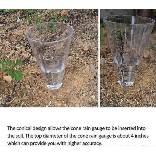 Rain gauge, 20.5 cm long, suitable for garden and school projects 1