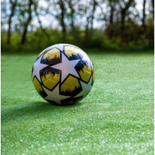 (10m, 4m) SoftTurf Artificial Grass 7mm Budget Turf Hard Wearing Fake Lawn