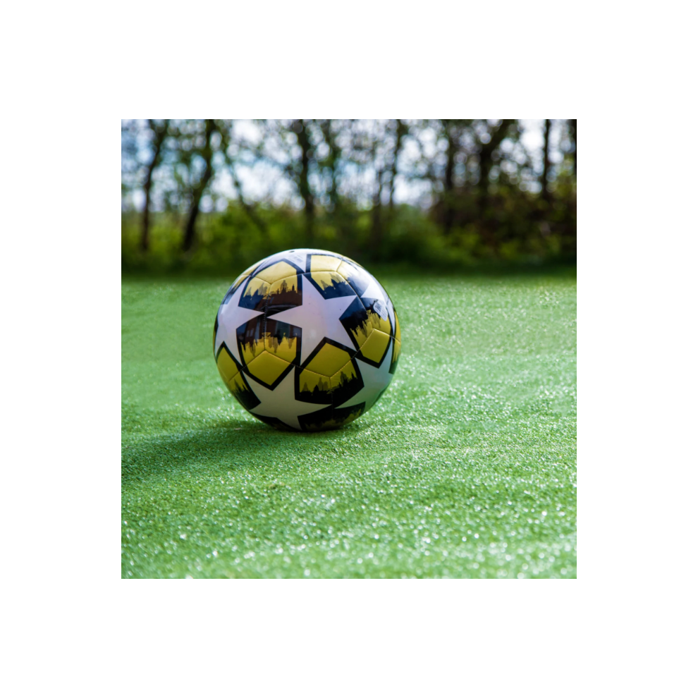 Softturf (10M, 4M) Artificial Grass 7Mm Budget Turf Hard Wearing Fake Lawn