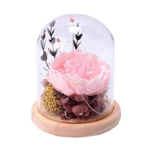Led Lamp Glass Cover Eternal Flower Birthday Gift for Girlfriend Mother'S Day Peony Hydrangea-Pink
