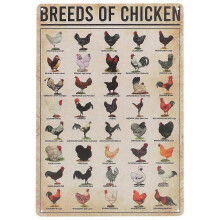 Wall Craft Decor Chicken Knowledge Poster Metal Craft Sign Vintage Craft Knowledge Sign