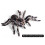2Pcs 9.5cm Realistic Spider Insect Model Toy Scary Prop 3