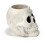 Plant Pot Ancient Skull Shaped Ceramic Garden Planter 5