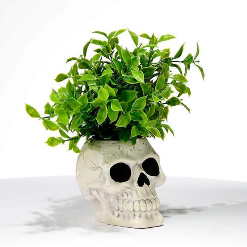 Plant Pot Ancient Skull Shaped Ceramic Garden Planter 1