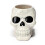 Plant Pot Ancient Skull Shaped Ceramic Garden Planter 4