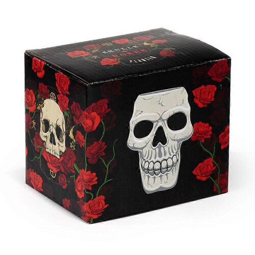 Plant Pot Ancient Skull Shaped Ceramic Garden Planter 2