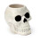 Plant Pot Ancient Skull Shaped Ceramic Garden Planter 1