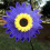 (Purple) 36Cm Plastic Sunflower Sunflower Windmill 2