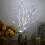 (20LED, Cold White) Led White Birch Branch Light For Festive Home And Wedding Decor String Lights 6