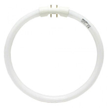 148569  TL5C 22W835 (FC9T5/835) Circular T5 Fluorescent Tube Light Bulb hwy