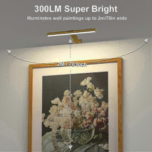 Wireless Rechargeable Picture Light with Remote Control 300LM Magnetic Wall Art Display Lamp 3 Modes 1