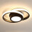 Modern Creative Ceiling Light Fixture Round Design Small Black Ceiling Lamp Shade,32w (warm Light) 1