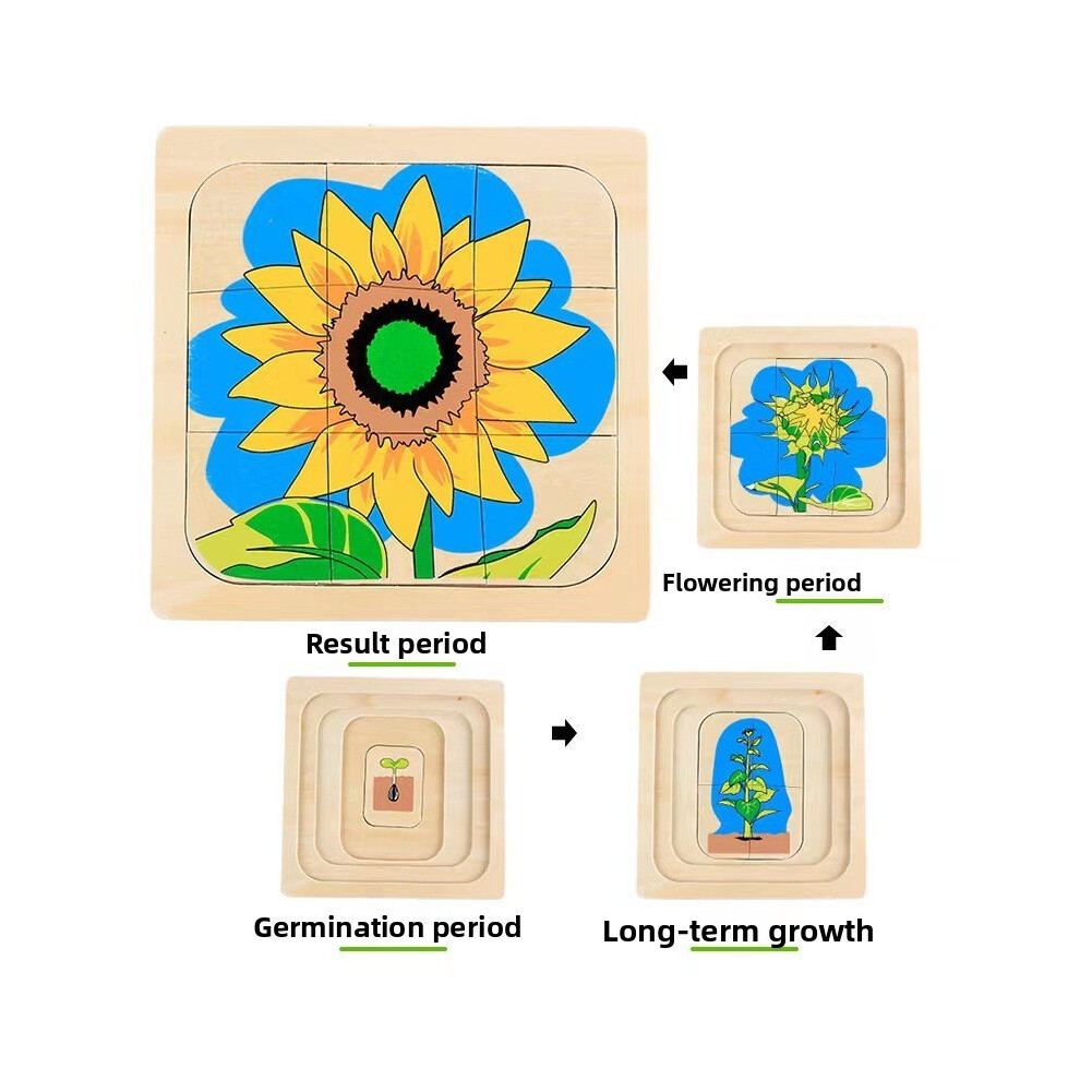 (Sunflower Puzzle) Animal Wooden Kids Growth Cycle Puzzle Educational Toy For Early Kids Education