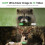 Trail Camera with Night Vision 4K Game Camera, 0.05s Trigger Motion Activated Hunting Camera(Green) 2