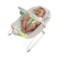 Bright Starts Baby Bouncer Soothing Vibrations Infant Seat  Taggies  Music  Removable Toy Bar  06 Months Up to 20 lbs Happy