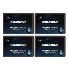 Gigastone Enterprise SSD 2TB NAS SSD Drive Cache (4-Pack) 24/7 Durable TLC High Endurance Business Server Data Center RAID Network Attached