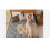 Memory Foam Mattress Sprung Bed Orthopaedic 3ft single Thickness 3