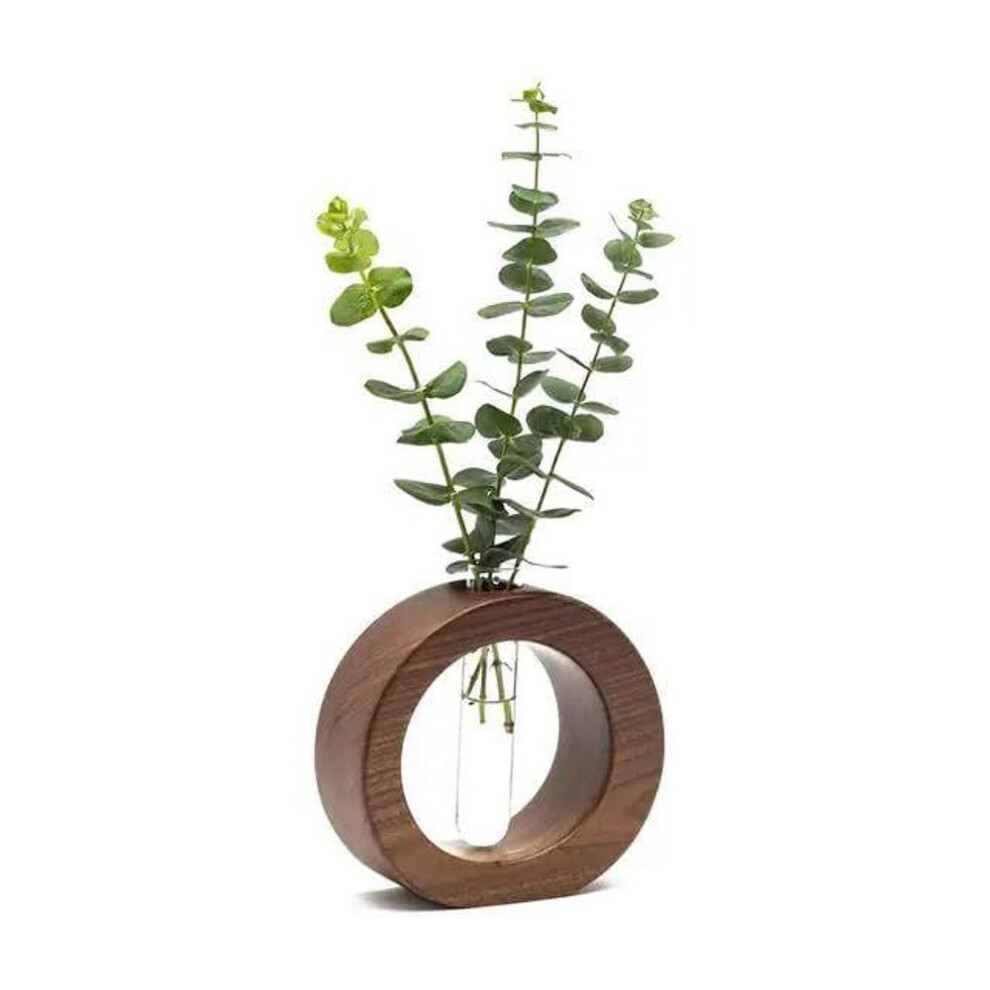 Shoppee Wooden 1 Glass Test Tube Home Decor Planter Modern Flower Vase With Wood Stand Plant Propagation