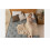MEMORY FOAM MATTRESS SPRUNG BED ORTHOPAEDIC 4FT6 double 4